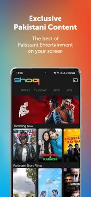 SHOQ - Cricket without ADS android App screenshot 11